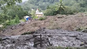 Hujan Deras Picu Bencana di Flores: Dua Warga Hilang Akibat Longsor, Sawah Terendam Banjir Parah