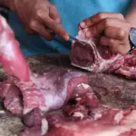 Kemendag Rampungkan Penerbitan Kuota Impor Daging Sapi 2026, Total 280.000 Ton Siap Direalisasi